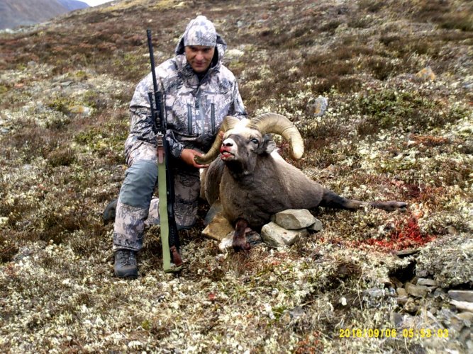 7-yakut sheep-13 Vadim Zakharov Russia