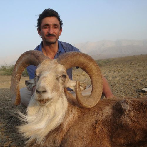 BLANDFORD URIAL