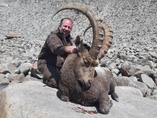 HIMALAYAN IBEX-5