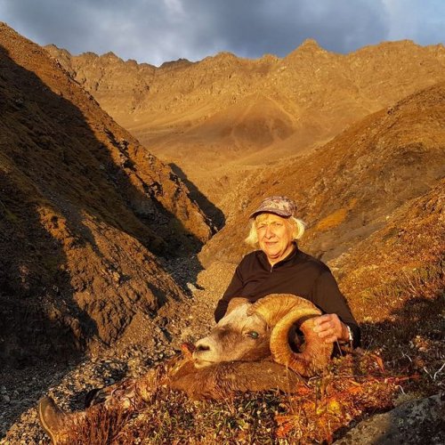 yakut sheep-10 Susan Tuohy USA