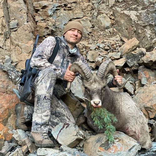 yakut sheep-8 RUS